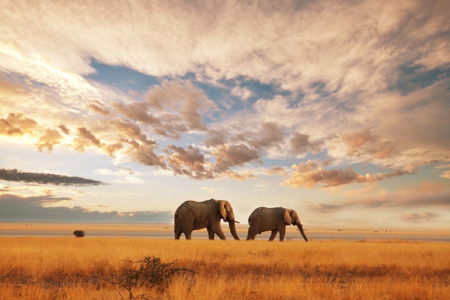 Nairobi's Natural Treasures