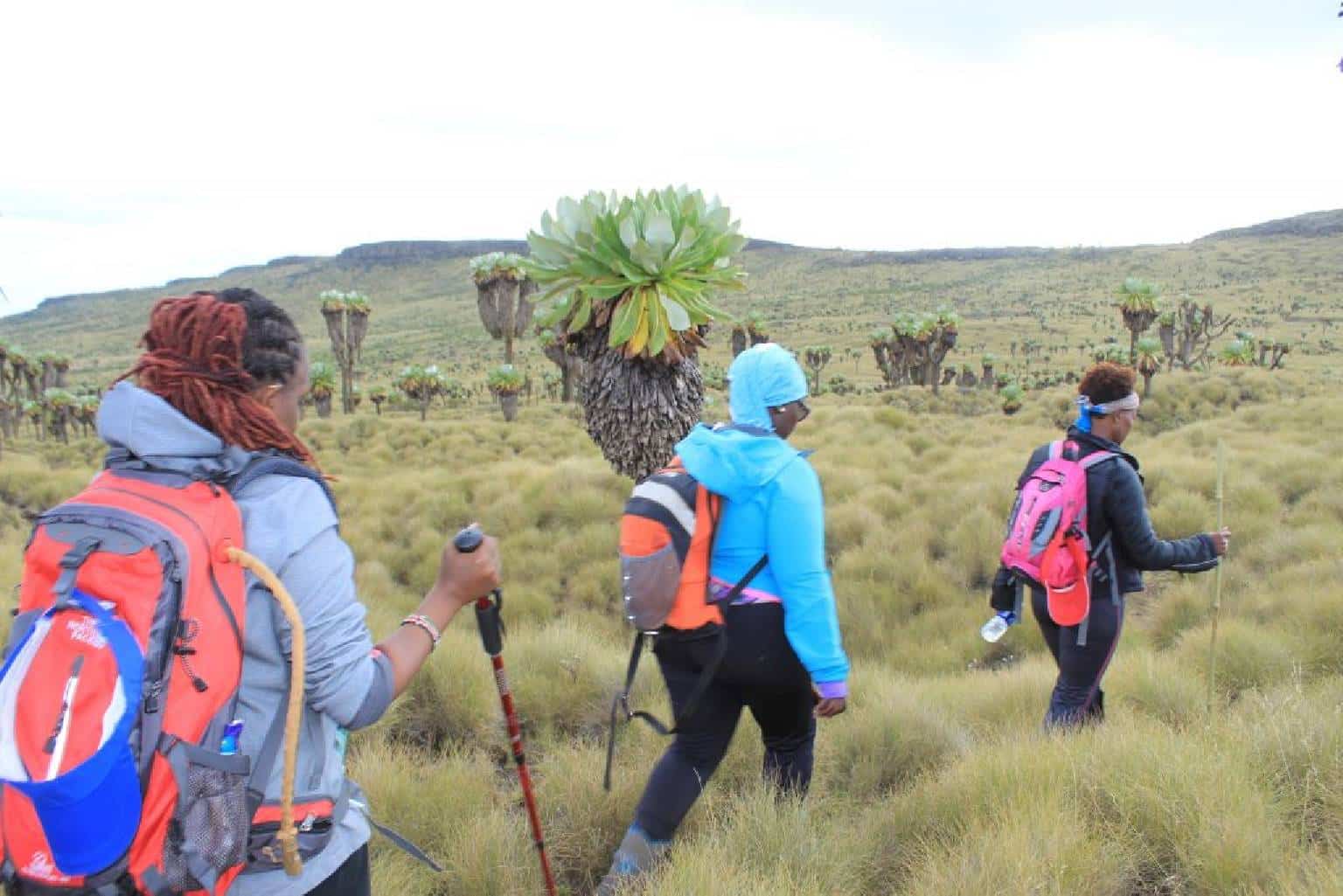 Top Hiking Destinations