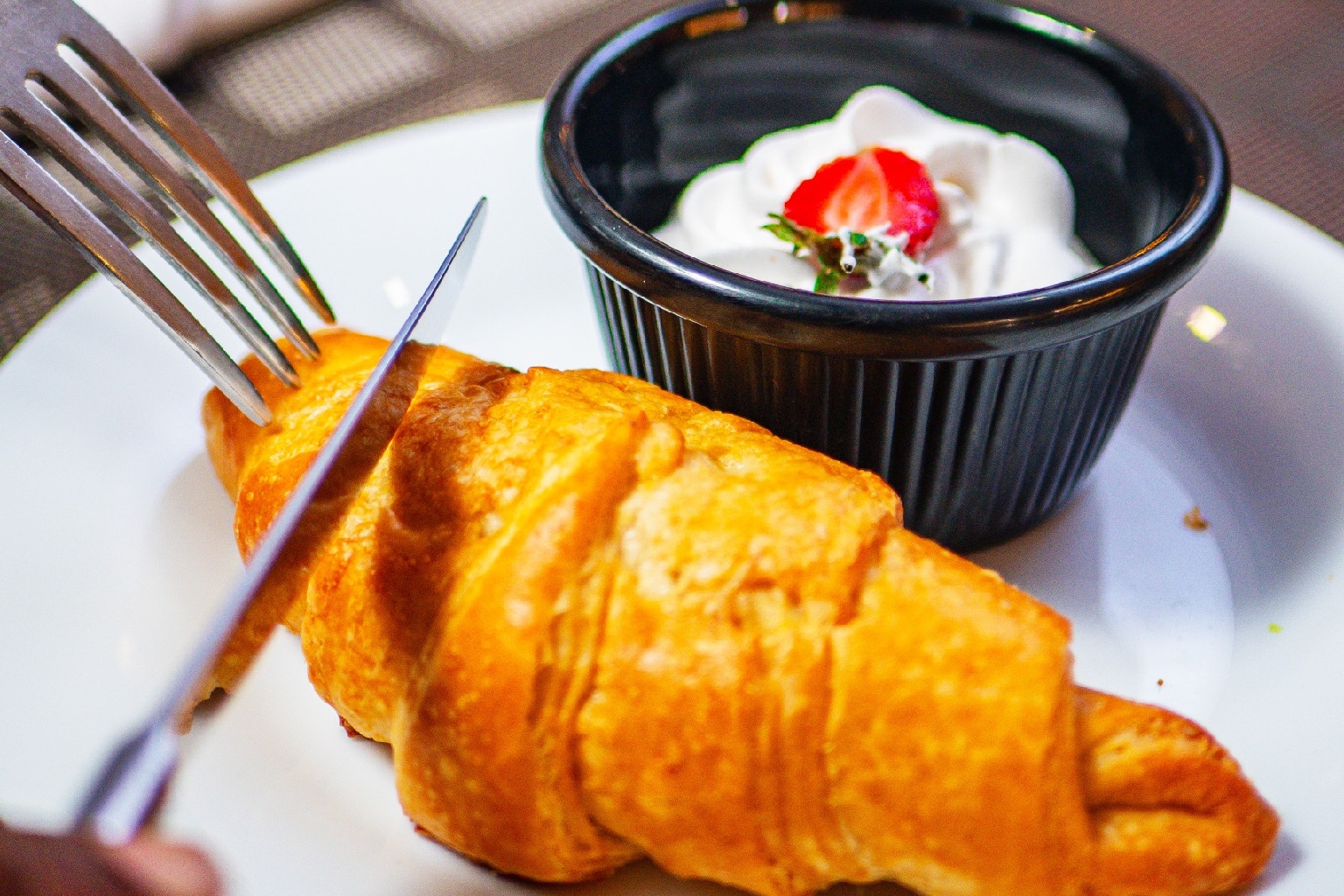 Culinary Excellence and Gastronomic Adventures