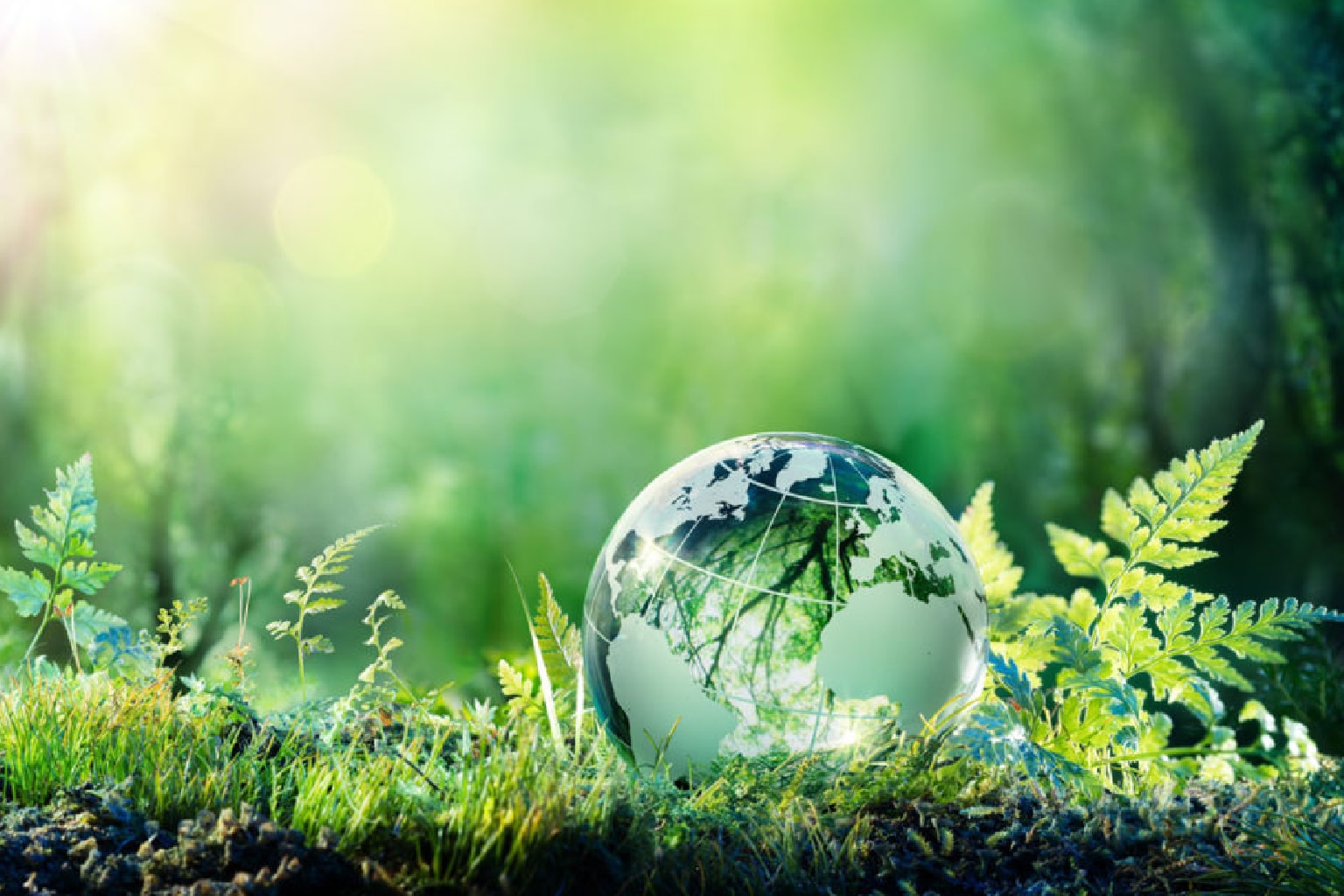 Sustainability Takes Center Stage