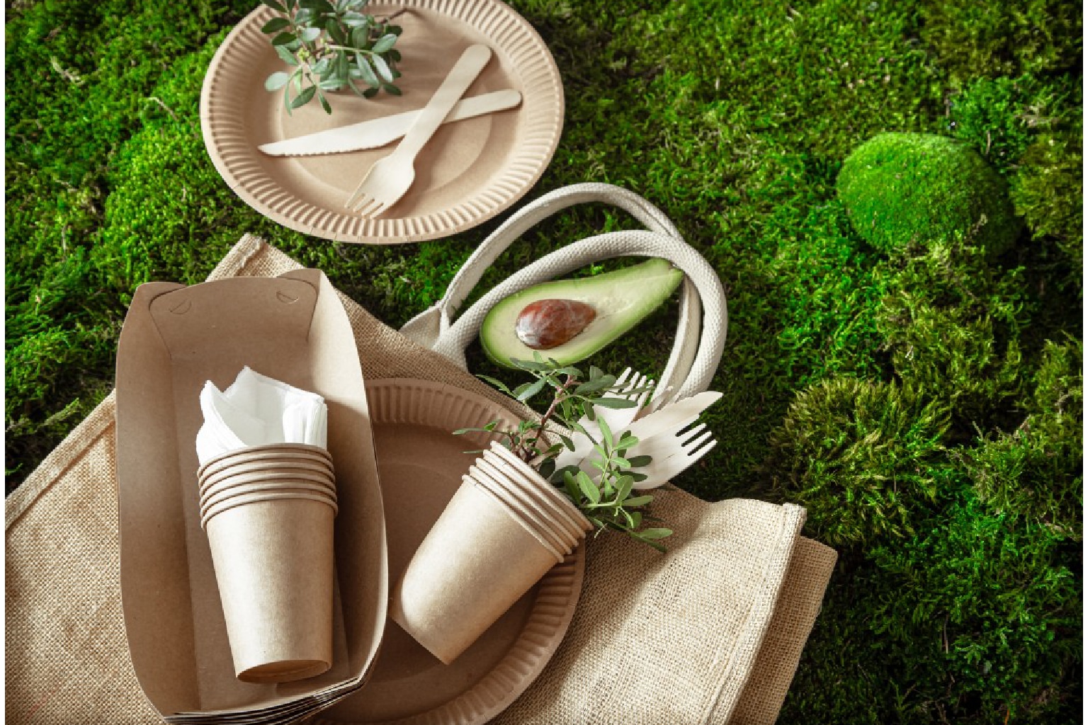 Sustainable Practices and Eco-Friendly Initiatives